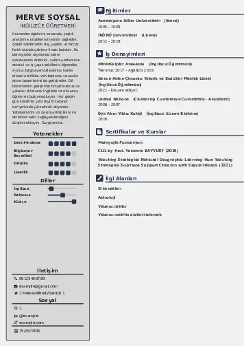 Yabancı Dil Öğretmeni Cv Örnekleri cv indir